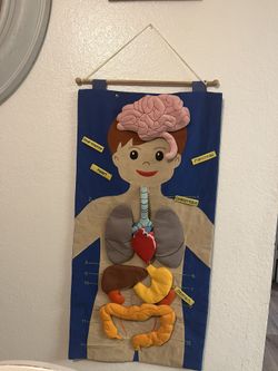 Human Anatomy Play poster 