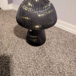 Led Light Up Mushroom 