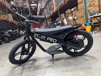 Kids Electric Bike
