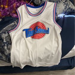 Tune Squad Jordan jersey