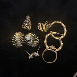 Lady’s Earrings 