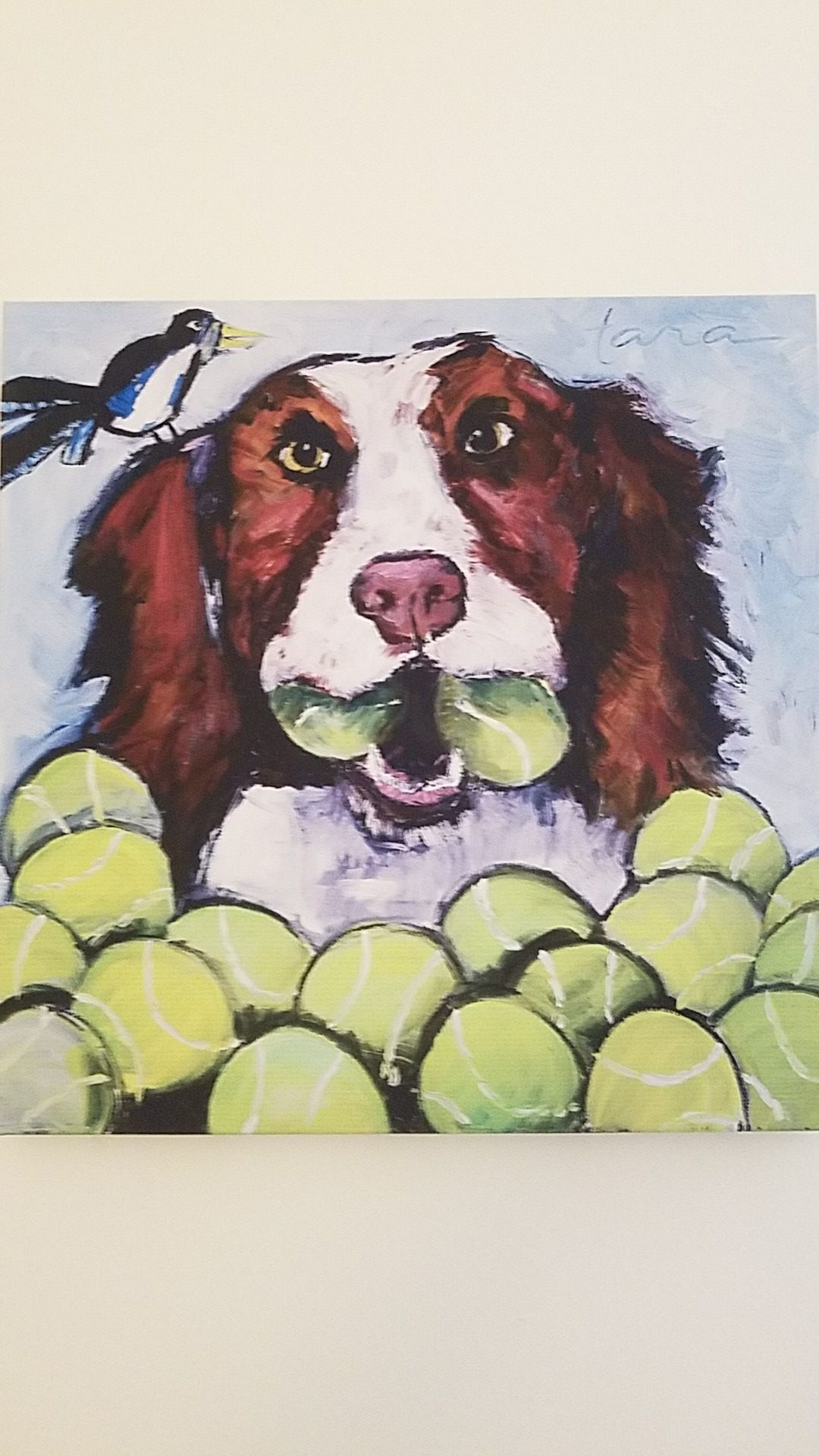 Picture of dog and tennis balls