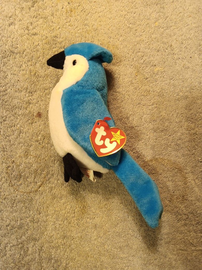 Rocket The Blue Jay