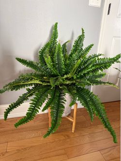 Nearly Natural Boston Fern Set