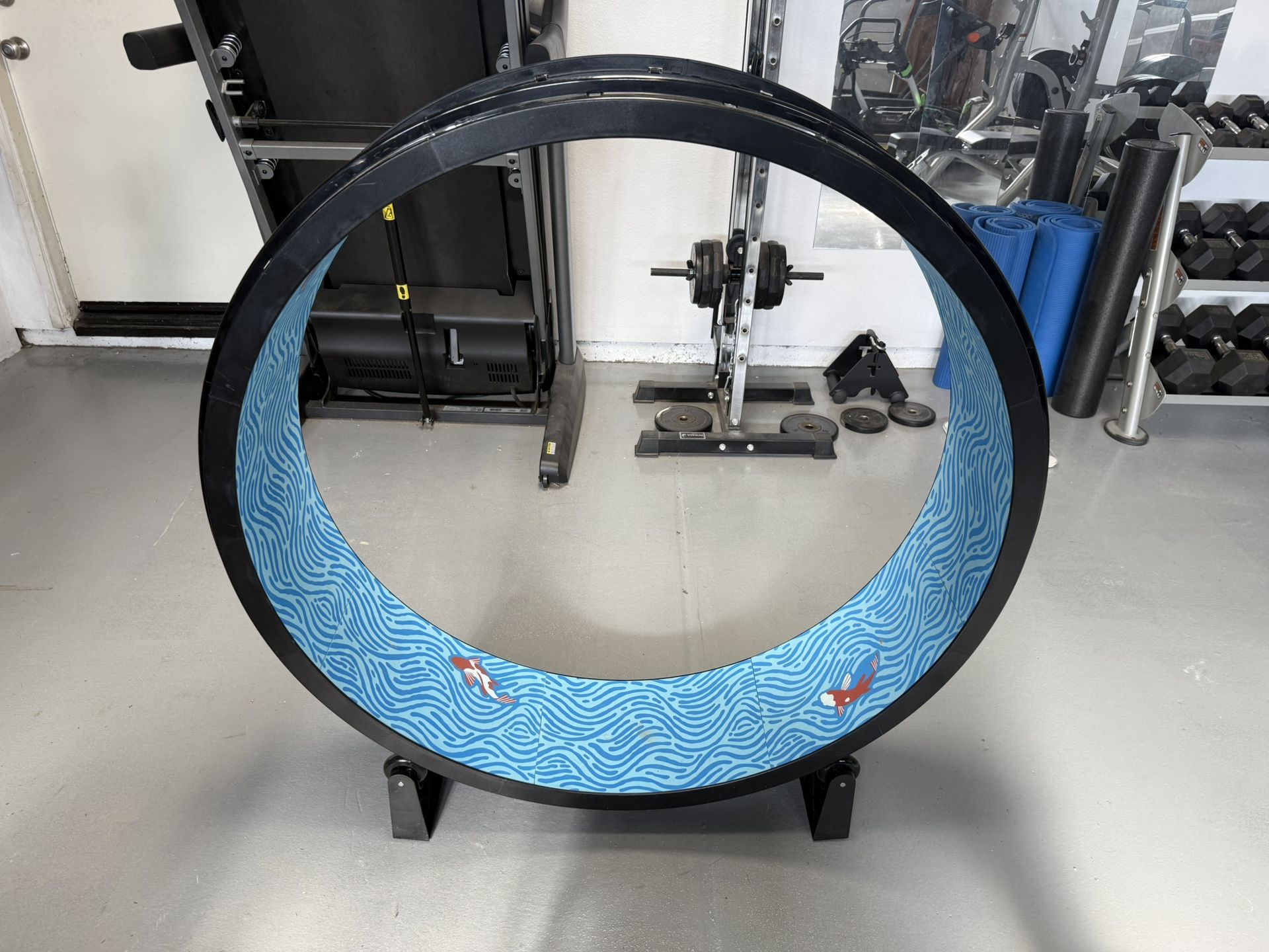 One Fast Cat Exercise Wheel