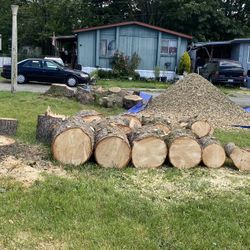 Firewood Rounds