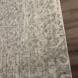 Living Room Carpet 