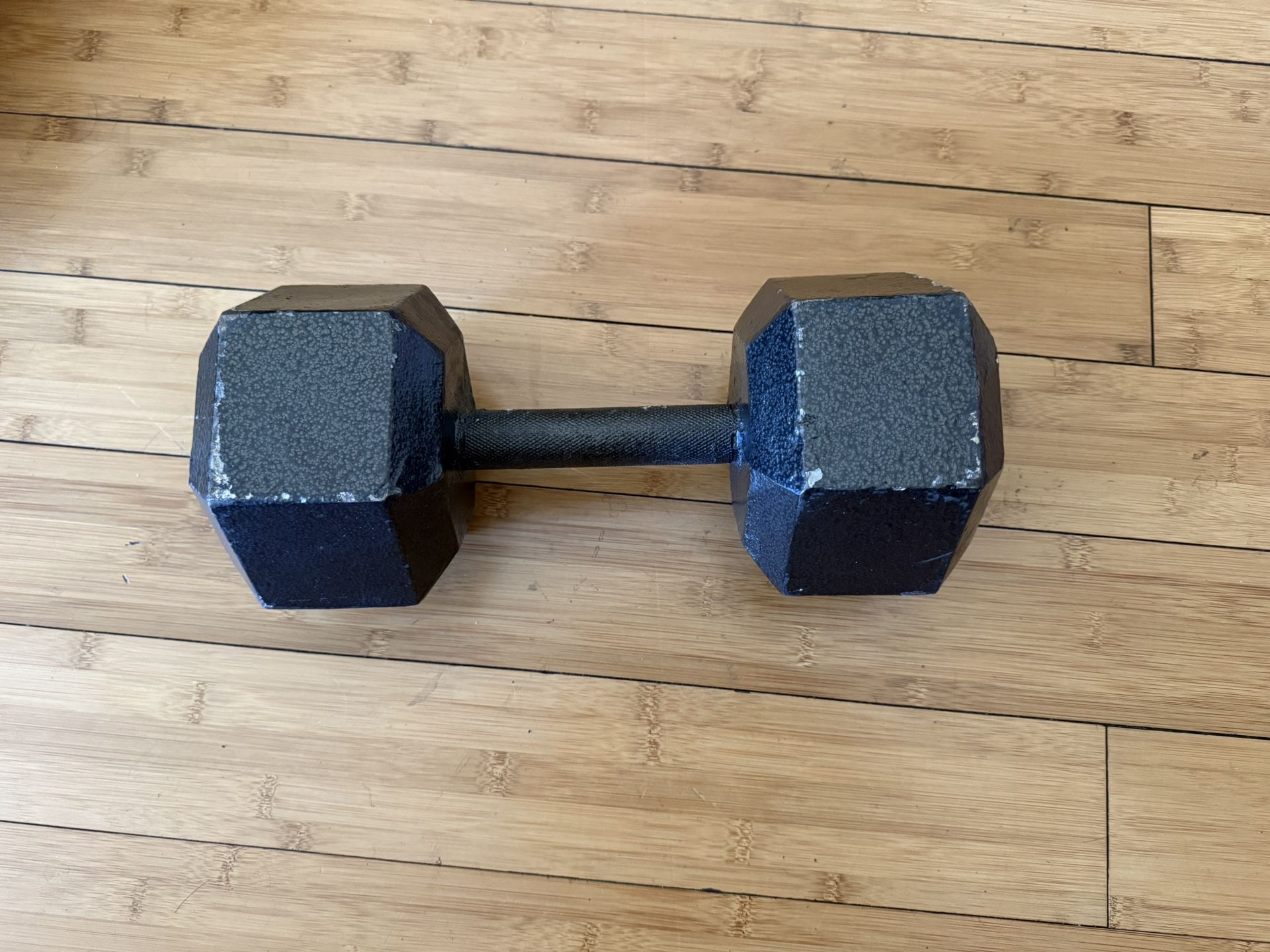 45lb Dumbbell (1)