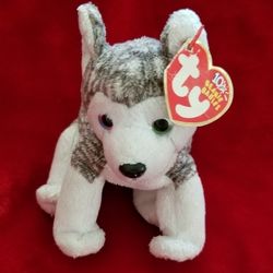 TY Teenie Beanie Babies Nook The Husky 


