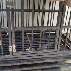 Cast Iron Cage