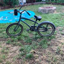 20 in. beach cruiser 