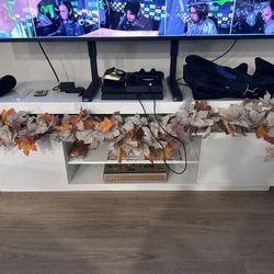 TV Stand (White)