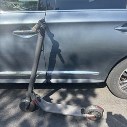 Segway Scooter 