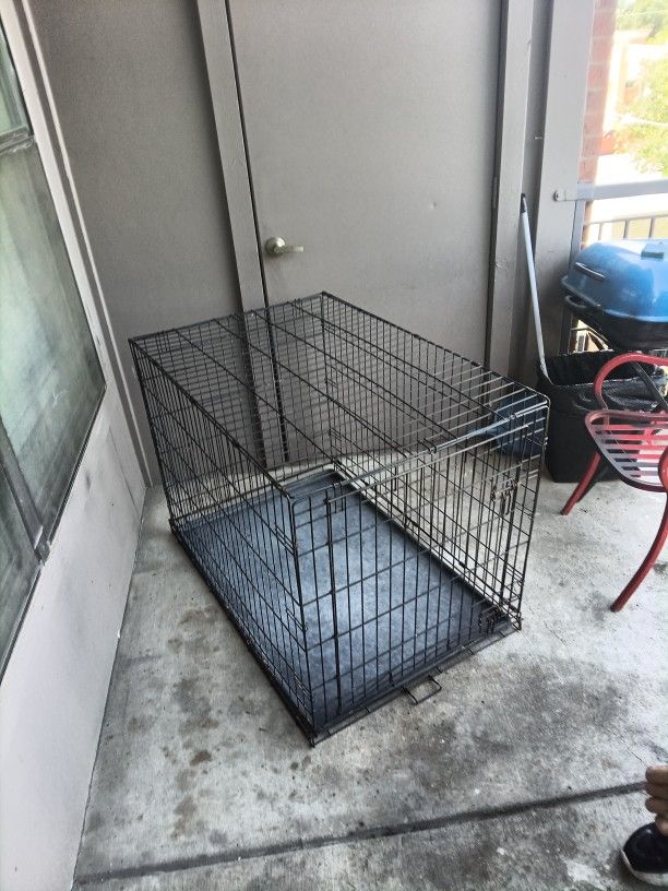 Large Dog Kennel