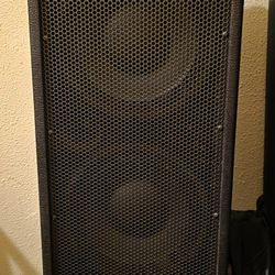 Carvin Mb210 Combo Bass Amp