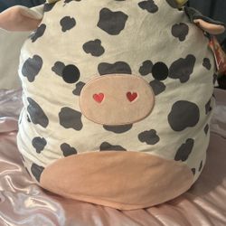 New Colin Cow Valentine’s Squishmallow