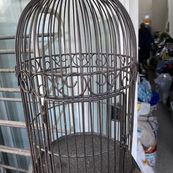 Bird Cage