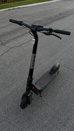 Bird Electric Scooter