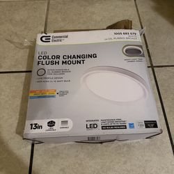 Modern 13 Inch LED Ceiling Light Fixture – Adjustable Color Temps + Night Light