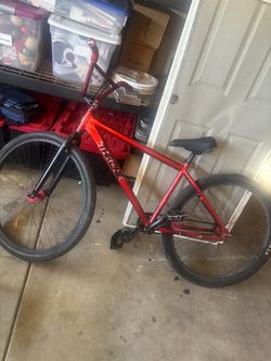 Throne 29er