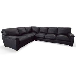 2 Piece Sectional 