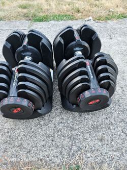 Bowflex 1090 Dumbells
