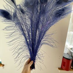 12ct Real Peacock Feathers Dyed Blue