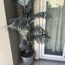 Fake Plant 🌱 Beautiful I Have Two Of These  100 Each 