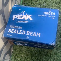 EIKO HLGN H6054 65/35W