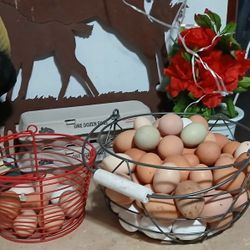 Huevos Frescos / Fresh Eggs