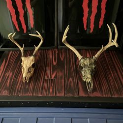 Deer Skulls 