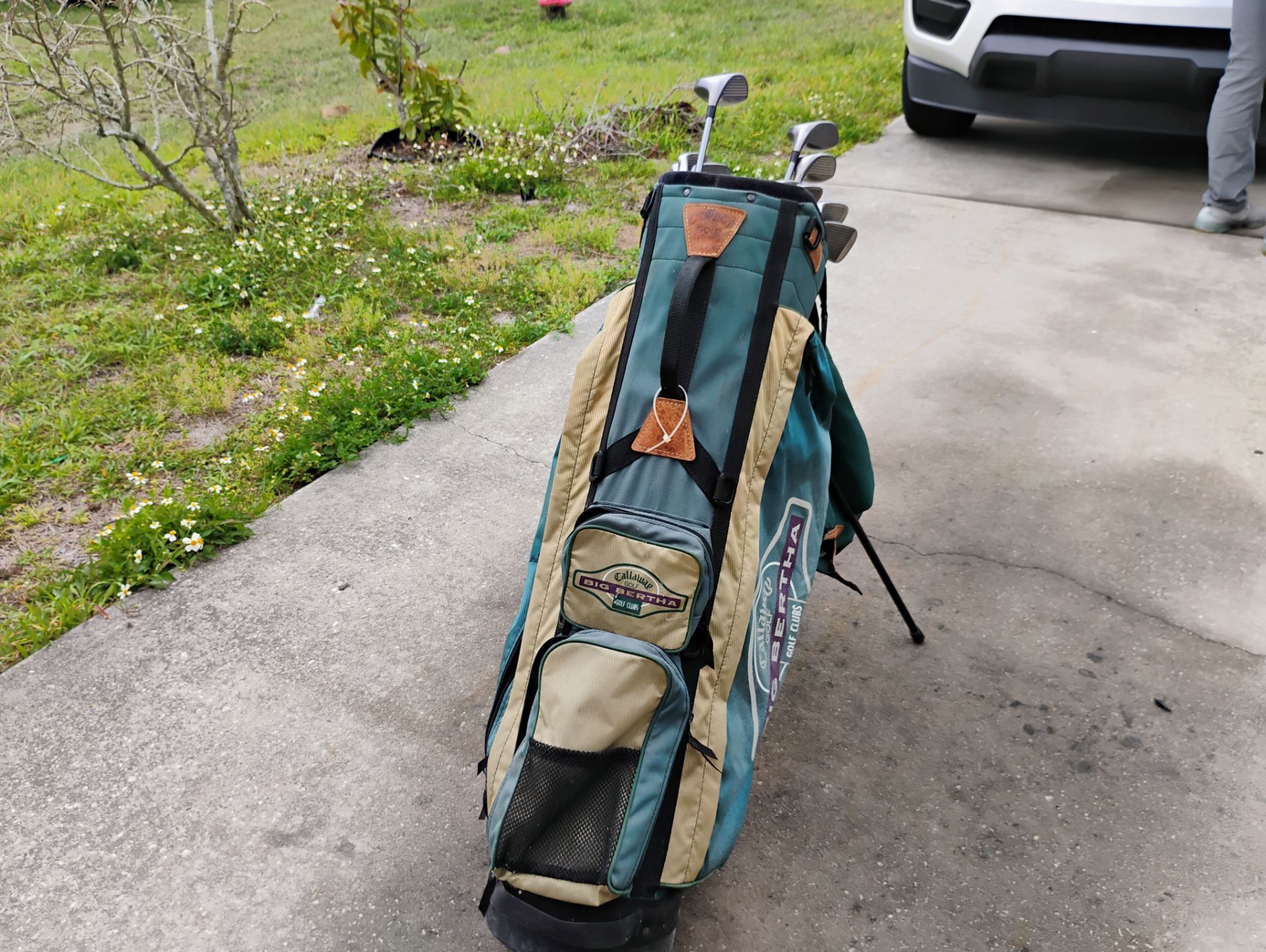 Lynx and steelhead golf club sets