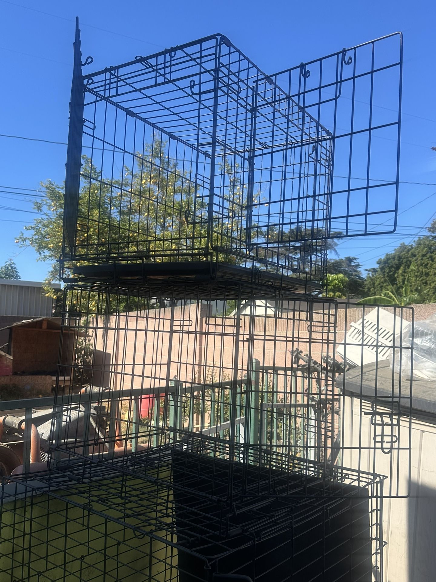 Dog crates different sizes