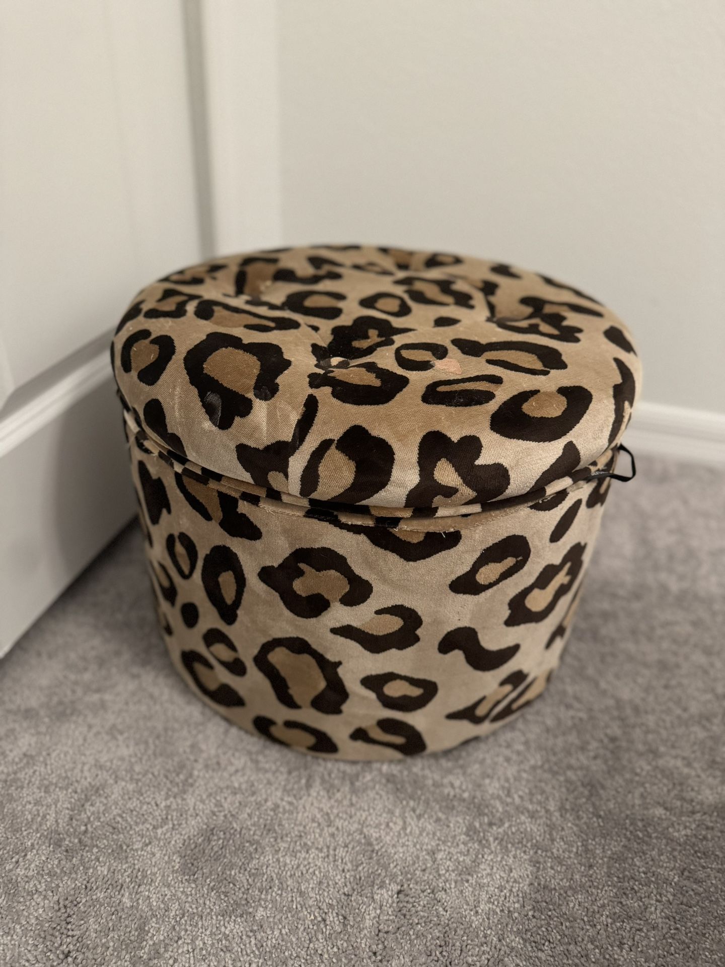 Leopard Print Shoe Holder