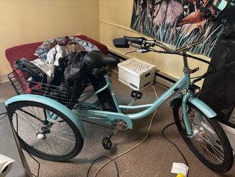 Viribus Adult Tricycle with Rear Basket