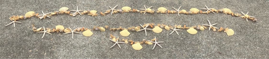 3 Piece “Shells on a Rope”