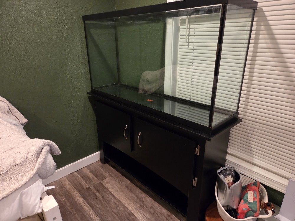 Large Fish Tank With Black Stand