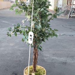 2 Potted  Fake / Artificial Plant 5’