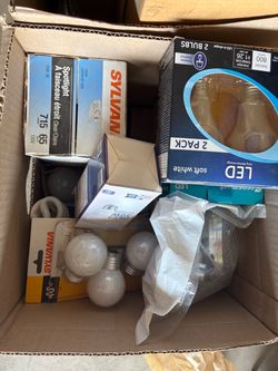 Lot of different bulbs, $20