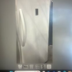 Frozen In Time-upright Fridge/freezer Seeks New Home