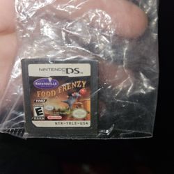 Nintendo DS Game