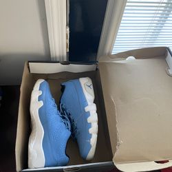 Jordan 9 Low Pantone 