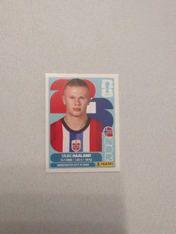 Erling Haaland Panini FIFA World Cup Sticker