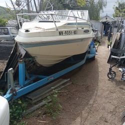 19' Bayliner  I/O 