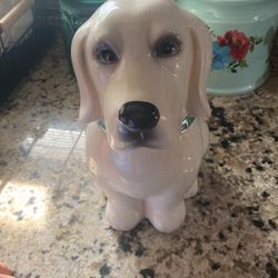 Pioneer Woman Cookie Jar