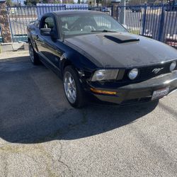2007 Ford Mustang