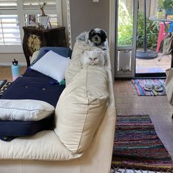 Faux Leather Couch & Loveseat-Pets Not Included😉