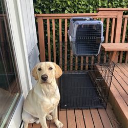 Dog Crate, Dog Kennel