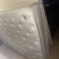 Full Size Mattress 