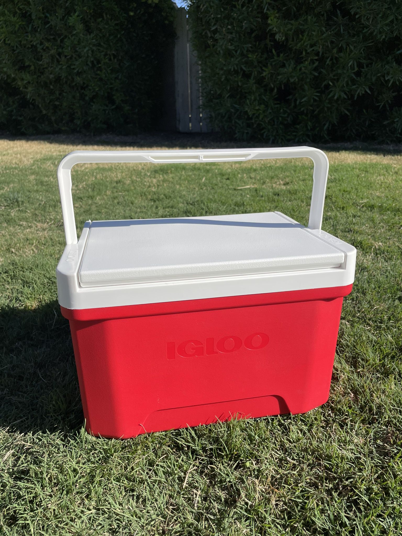 Red cooler/ lunch box
